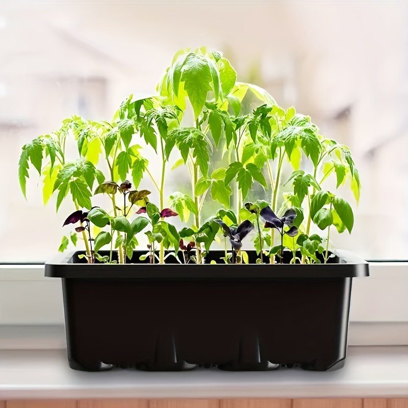 Seedling Starter Kit 1/2/3 Set - đánh giá và giá Led Assortment Kit